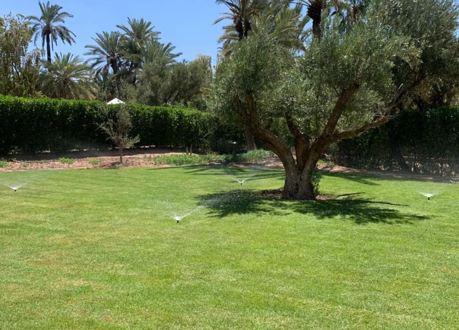 Villa Avec Piscine Privatisee A La Palmeraie Marrakesh 0*,