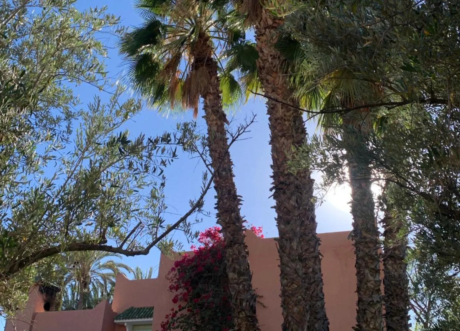 Villa Avec Piscine Privatisee A La Palmeraie Marrakesh